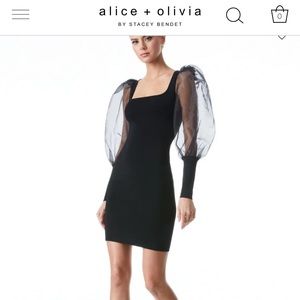 NWT Alice + Olivia dress 0 velvet chiffon sleeve